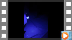 堺高校 第15回文化祭