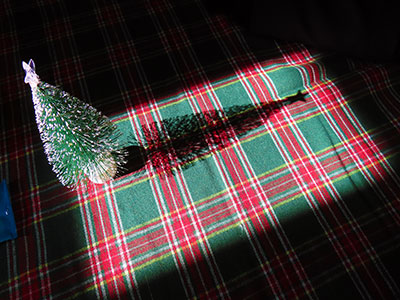 堺高校 第15回文化祭2023