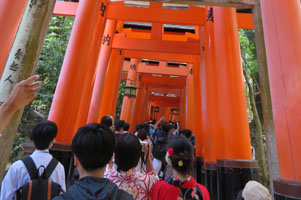 堺高校　校外学習