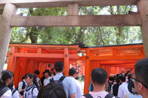 堺高校　校外学習