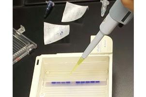 堺高校　サイエンス創造科　プロフェッサーズセミナー