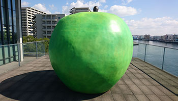 堺高校　建イ現場見学