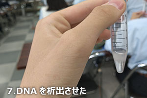 堺高校　サイエンスセミナー