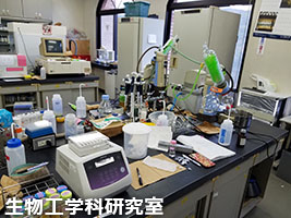 堺高校　学校見学