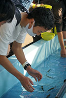 堺高校　校外学習