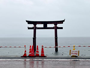 堺高校　校外学習