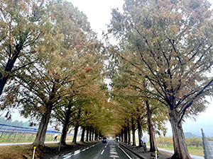 堺高校　校外学習