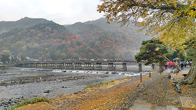 堺高校　校外学習