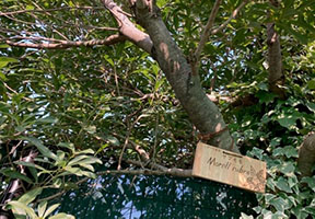 堺高校 生物演習