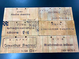 堺高校 生物演習