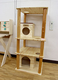 堺高校　建イ課題研究発表