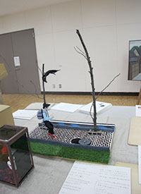 堺高校　建イ課題研究発表