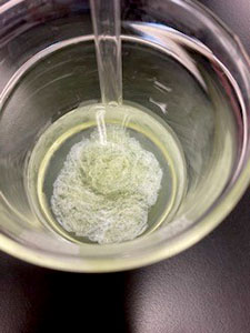 堺高校　サイエンス創造科