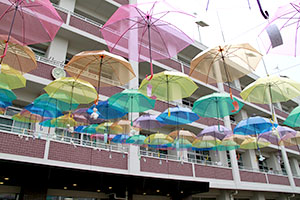 堺高校　文化祭