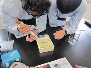 堺高校　サイエンス創造科