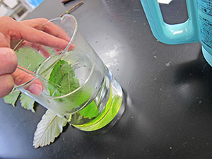 堺高校　サイエンス創造科