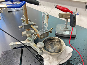 堺高校　サイエンス創造科