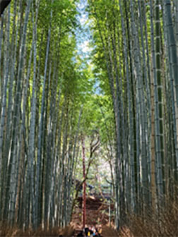 堺高校　堺高校通信