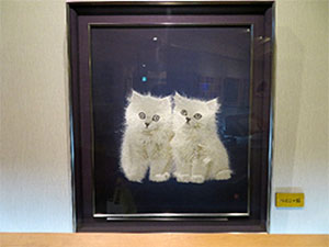 堺高校　堺高校通信