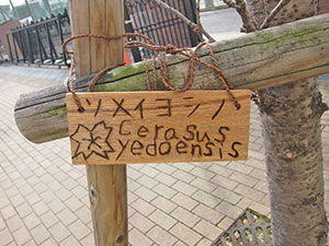 堺高校　マネジメント創造科