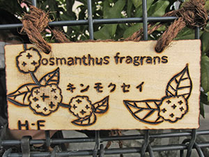 堺高校　マネジメント創造科