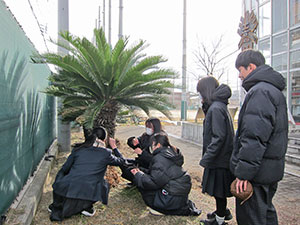 堺高校　マネジメント創造科