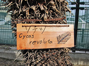 堺高校　マネジメント創造科