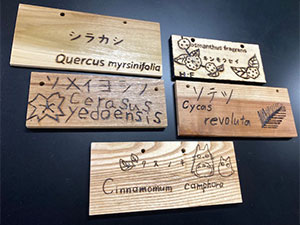 堺高校　マネジメント創造科