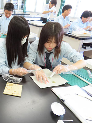 堺高校　サイエンス創造科