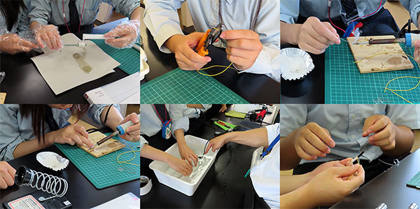 堺高校　サイエンス創造科