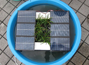 堺高校 サイエンス研究会