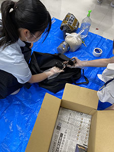 堺高校　SDGsチャレンジ