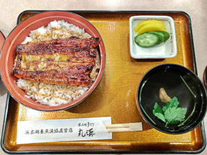 堺高校　鉄道研究同好会　青春18きっぷ浜松