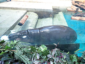 堺高校　サイエンス研究部