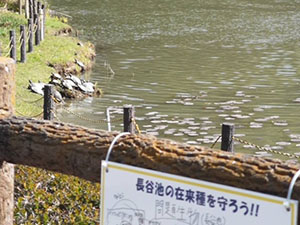 堺高校　サイエンス研究部