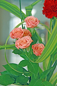 堺高校　茶・華道部