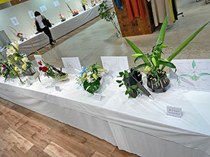 堺高校　茶華道部