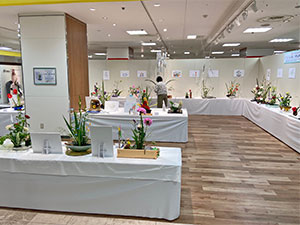 堺高校　茶華道部