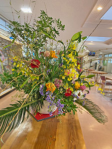 堺高校　茶・華道部