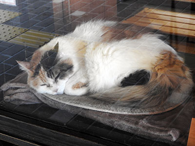 堺高校　鉄道研究同好会