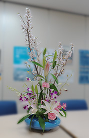 堺高校　茶華道部