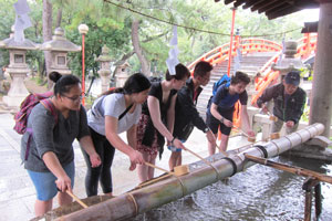 ウェリントン2018