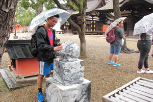 ウェリントン2018