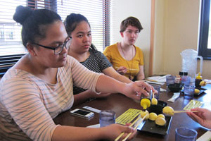 ウェリントン2018