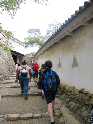 ウェリントン2018