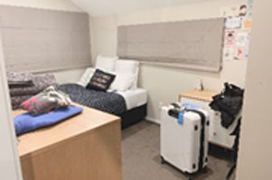 堺高校　国際交流　ウエリントン