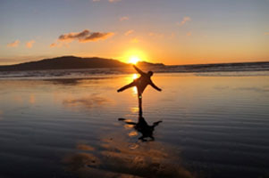 堺高校　国際交流　ウエリントン