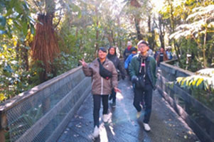 堺高校　国際交流　ウエリントン