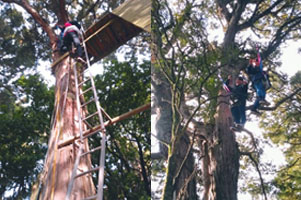 堺高校　国際交流　ウエリントン